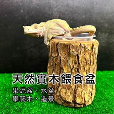 【閃電聯盟】實木餵食盆 爬蟲食盆 水盆 爬蟲造景 樹棲 爬龍 守宮造景 變色龍蜥蜴攀爬 睫角, 1個