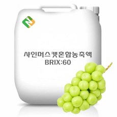 샤인머스캣혼합농축액 60Brix 200g 샘플, 1개