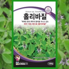 바질 씨앗 홀리 100립 종자 허브 바실 향신료