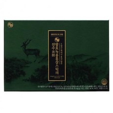 진웰스 발효 녹용홍삼스틱의진수 홍삼액 12g x 30포 명절 선물세트