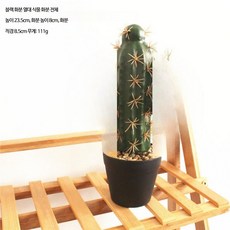 거실 인테리어 대형 인조 선인장 조화 화분 실내 장식 생화같은 플랜테리어, 1개, JH936 선인장