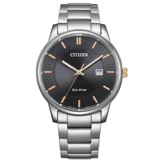 CITIZEN 光動能對錶, 1個