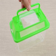 응봉이네 곤충 채집통 미니 마리모키우기