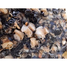 국내산 논 우렁, 1팩