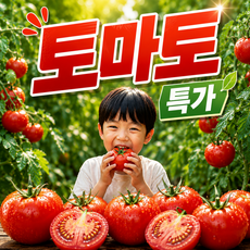 국내 수확 찰 완숙 토마토, 1개, 10kg (혼합과)