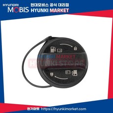 현대모비스 연료 주유캡 (31010M6000)