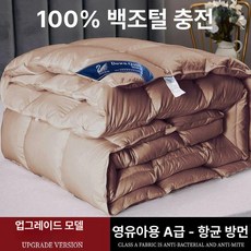 구스이불 이불 겨울 두꺼운 한파용 폴란드 호텔침구 힐튼, 듀폰 커피