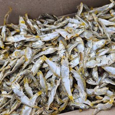 국내산 햇 고노리(곤어리) 1.5kg 실속형 업소용 식자재용 다시멸치 육수멸치 국물멸치, 1개