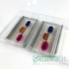 (SC) 미니 이동 전기영동 (4인용) 장치-이온의, 단품