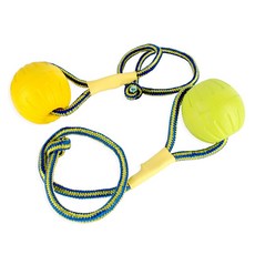 반려견 놀이줄 강아지