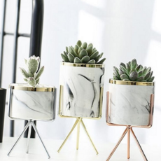 키밍 다육이 선인장 화분 고급 인테리어 소품 거치대 sun*9105XG, 중형_로즈골드, 중형_로즈골드, 중형_로즈골드