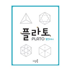 플라토주머니(평면도형 세트) 초등수학교구 펜토미노 지오보드 패턴블럭 평면도형 도형퍼즐 칠교놀이 유아수학교구, 플라토주머니 평면도형, 유아용 첫 지오보드 놀이세트, 1개