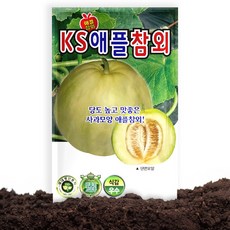 KS종묘 애플참외 씨앗 20립 애플 참외씨 종자, 1개