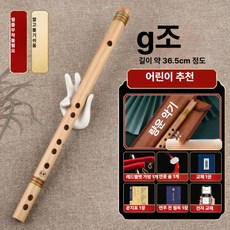 국악기 입문자용 단소 전통 경량 케이스 초보자용 연주 휴대용 연습용, 1개, [G 키] (가죽 케이스)