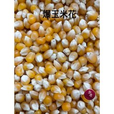 爆玉米花 非基因改造玉米爆玉米粒, 1個