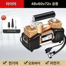 공기주입기 에어게이지 노즐 에어펌프 압축기 밸브, 수리 모델 - 더블 실린더 - 본체 전용, 1개