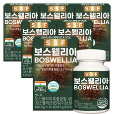 순수식품 보스웰리아 보스웰릭산65% 12개월분(360정), 60정, 6개