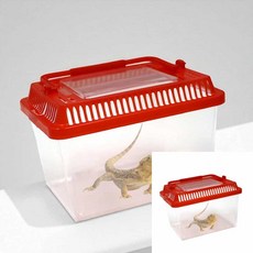 도마뱀 잠자리 학습용 곤충채집통 수업재료 곤충채집통왕대 학교물품 곤충사육통