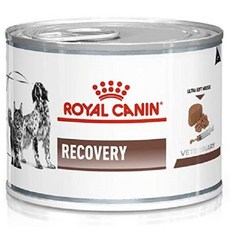 로얄캐닌 리커버리 캔 습식사료 195g, 1개