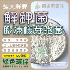 解鉀菌 膠凍樣類芽孢菌 Paenibacillus mucilaginosus 有效分解土壤磷鉀等微量元素, 1個, 150克 / 罐 x 1入, 150克