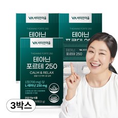 비타민마을 테아닌 포르테 250 영양제 21g, 3개, 30정
