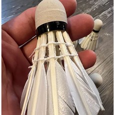廣隆 羽毛球 粗白鵝毛 飛行穩定, 散裝1只, 1個