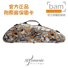 法國BAM 小提琴盒 CUBE立體主義系列 限量款, 1個