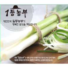일등농부 산지직송 신선 흙 대파, 10kg, 1개
