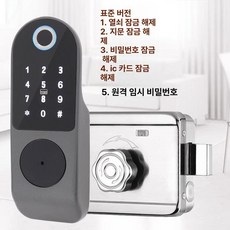 디지털 도어락 지문인식 방수 가정용 지문인식도어락, 표준 D