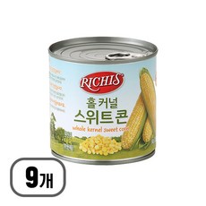 동서 리치스 홀 커널 스위트콘 340g (고형량 285g), 9개