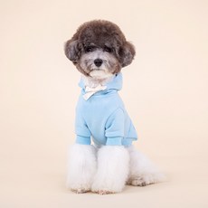 파스텔 하트 후드티셔츠 스카이블루 (S~2XL size)