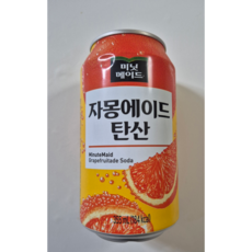 해태에이치티비 미닛메이드 자몽 에이드 탄산, 24개, 355ml
