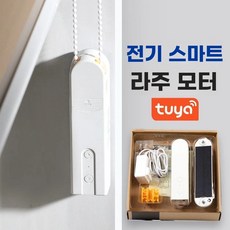 전동 커튼 블라인드 앱 거실 스마트 리모컨 연동 모터