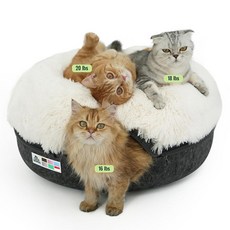 카타사우루스 피카부 고양이 워밍 고양이 IN 최대 대형 동굴 셀프 도넛 30 45파운드의, Dark Gray, Large