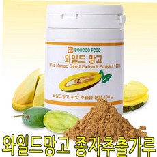 광명식품 와일드망고 종자분말 100g 기타 다이어트식품, 1, 1개