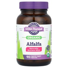 오레곤스와일드하베스트 알팔파 Alfalfa 베지캡슐 90정, 1개