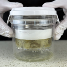 오어브랜드 가정용 야채 탈수기 음식 오이지 짤순이, 1개, 화이트