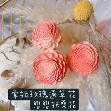 萬花.瞳 索拉玫瑰通草花 戀戀扶桑花系列, 單朵扶桑花'1朵, 1個