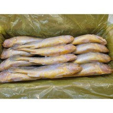 부세조기 3.4kg(12미), 1박스, 12미