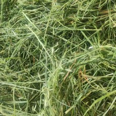 牲畜牧草 膳食纖維 促進消化 維持健康體態 1公斤, 1個