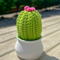 뜨개질패키지 선인장화분 뜨개꽃다발 LOVE 장식 수제 세트 완성품, 1개, 구형 선인장