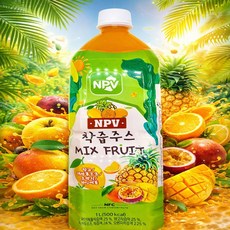 롯데 칠성 NPV 착즙주스 믹스 후르츠, 6개, 1L