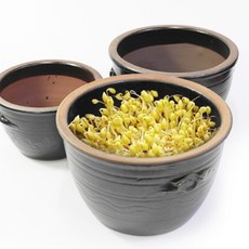 튜뮬 콩나물시루 콩나물 재배기