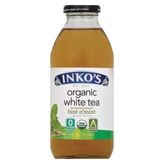 인코스 화이트 티 언스위튼드 힌트 오 민트, 1개, 480ml