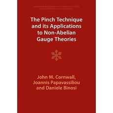 (영문도서) The Pinch Technique and Its Applications to Non-Abelian Gauge Theories Paperback, Cambridge University Press, English, 9781009402439
