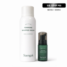 이너생각 밸런싱 페미닌 휩드워시 유산균 함유 여성청결제 180ml, 1개