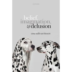 (영문도서) Belief Imagination and Delusion Hardcover, Oxford University Press, USA, English, 9780198872221