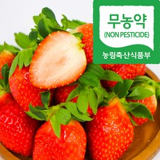 (자연마을) 무농약 설향 딸기 500g 토경재배, 무농약 설향딸기(상), 1개