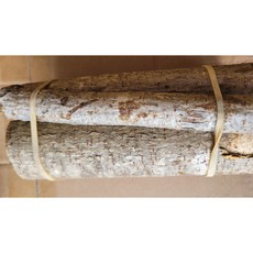 아름건어물 옺나무 단 약 500g, 1개