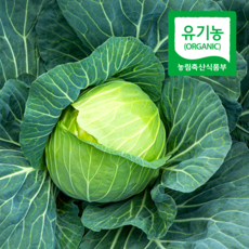 국산 황토밭 친환경 유기농 양배추, 1박스, 3kg